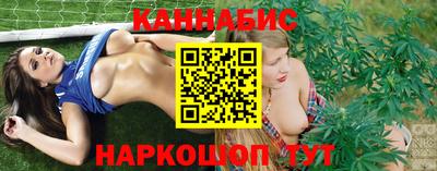 стафф Гусев