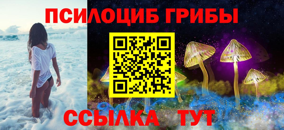 Галлюциногенные грибы Psilocybe Майский