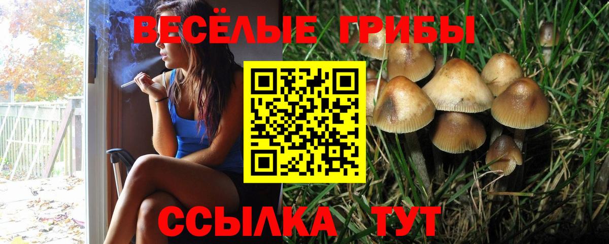 Майский  Галлюциногенные грибы Cubensis  Псилоцибиновые грибы Psilocybe  Вход с VPN 
